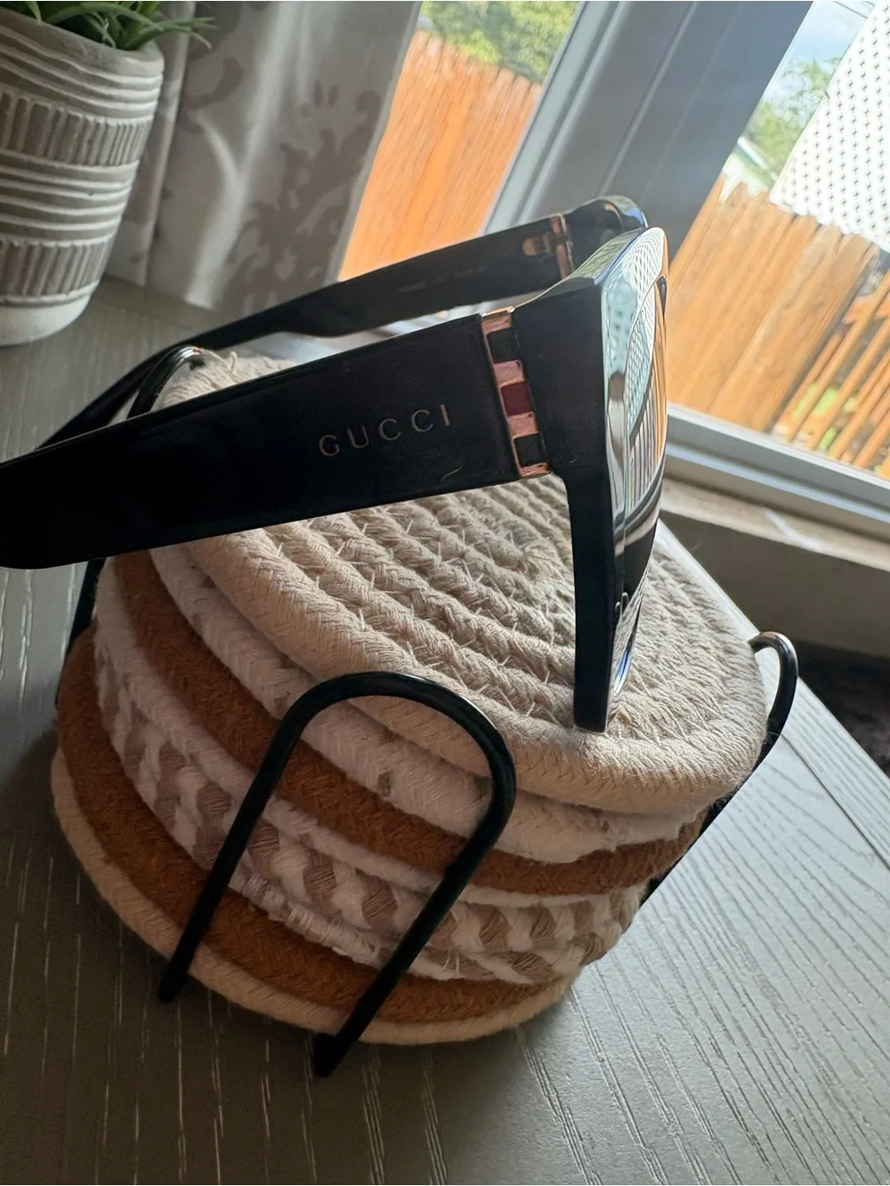 Gucci stylish cat